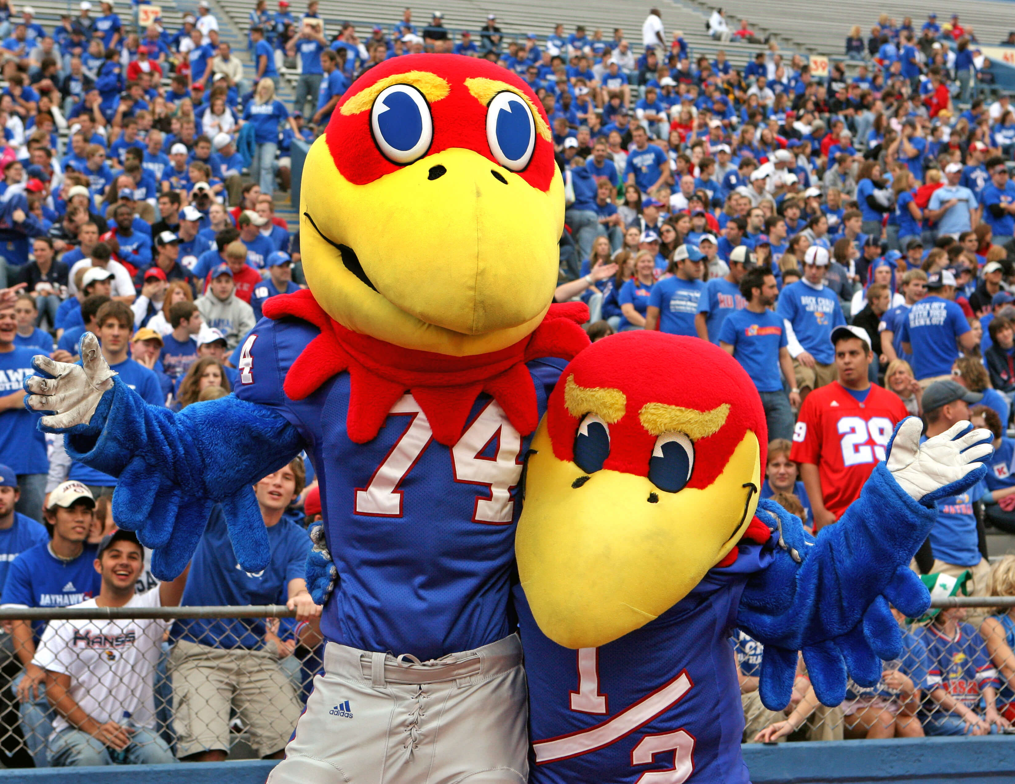 University of kansas sports management Sports Management Degree Guide university-of-kansas-sports-management-sports-management-degree-guide