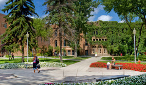Minnesota State University - Sport Management