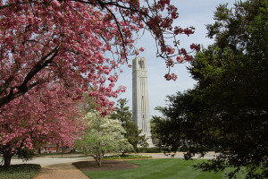 North Carolina State University - Sport Management