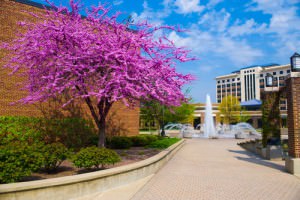 Indiana State University - Top Online Master's Sports Management