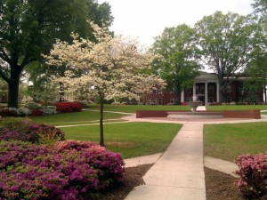 Newberry College - Bachelor's Sports Management Degree 2016