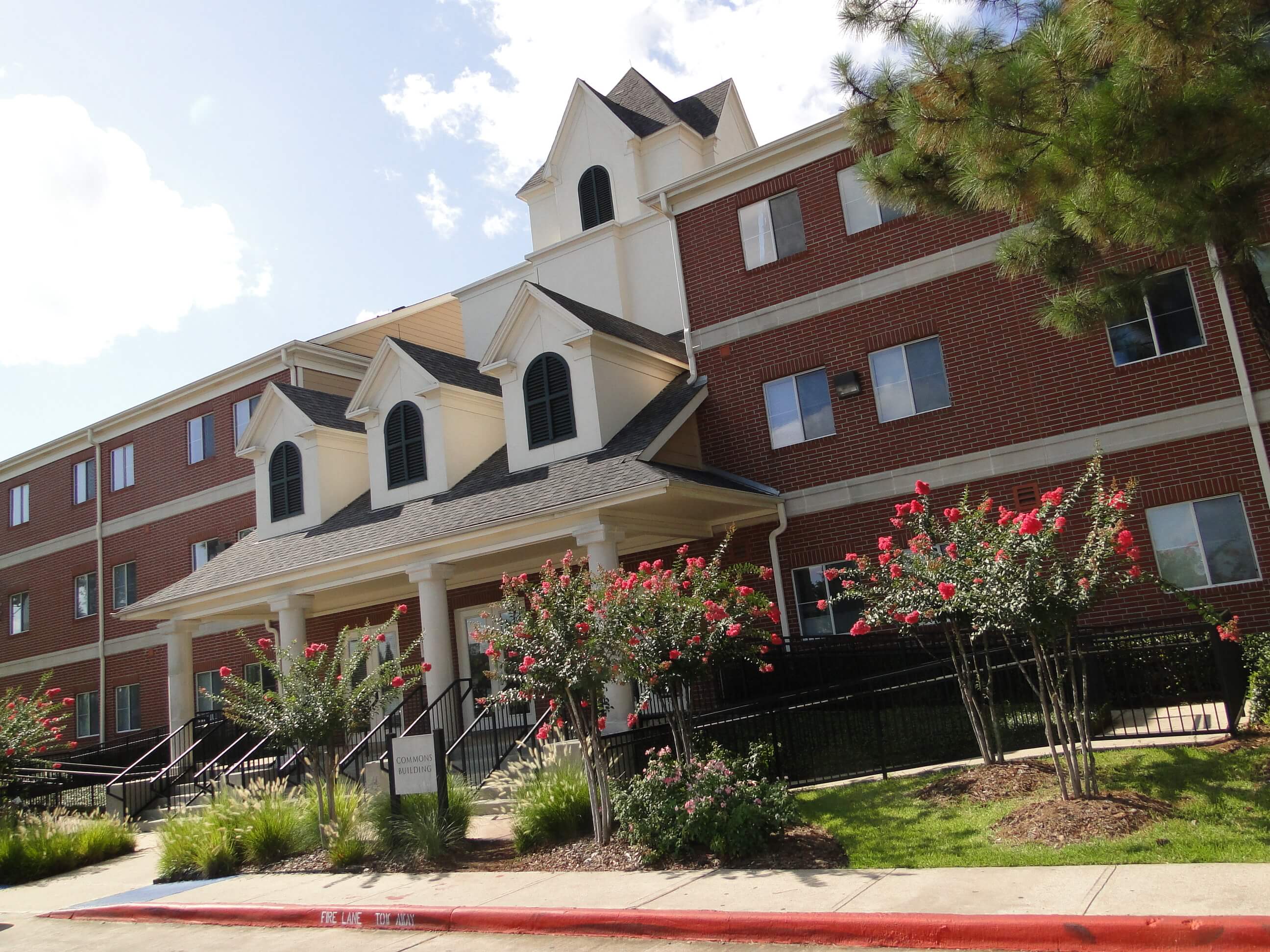 Lamar University Sports Management Degree Guide