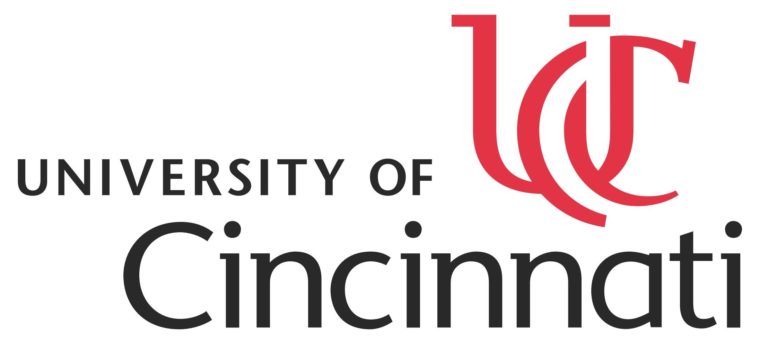 cincinnati web design