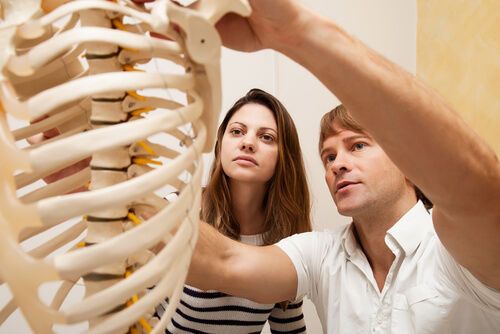 What Jobs Are Available in Kinesiology?